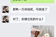 【盐选神回复】当你有个一上线就邀请你的朋友时：