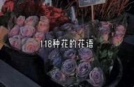 118种鲜花花语合集