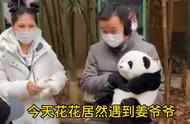 当花花偶遇姜爷爷，是个什么场面，#熊猫#国宝#爱宝乐园