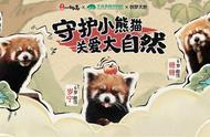 《传说中的合合岛》认养濒危小熊猫，用游戏传播公益正能量