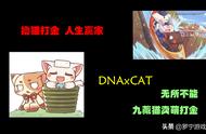 DNAxCAT：九藏猫卖萌打金，无所不能