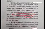 女生与保安团结拯救流浪狗！速捕速送，无人能阻！