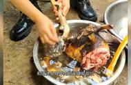 揭秘临桂近水楼台农庄老板是怎么做黑山羊的#桂林特色美食攻略