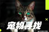 宠物寻找，宠物侦探带了解国内外的玄学找猫方法哪种更好用？