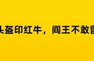 红牛，你为什么总在试探阎王爷的底线？