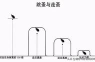 惊人的跳蚤定律：长大后有出息的孩子，拥有了父亲的四种格局