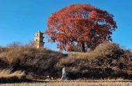 青岛夫妻在云南：一次花掉200万积蓄的移居实验