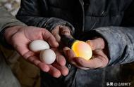 你知道农村是怎么孵小鸡的吗？怎么选择鸡蛋那可是大有讲究的哦