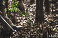 徒步、越野、荒野求生觅食中，野外的这8种植物一定要避免误食