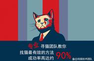 猫丢了怎么找找猫最有效的方法，猫丢了如何快速找回？