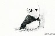国宝大熊猫太可爱了，分分钟教你画一只大熊猫