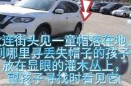 大连谁家小宝贝丢帽子啦?我找不到你就把它放在最显眼高灌...