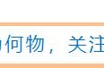 13年后回首《爱情公寓》，5位女主中，悠悠离婚羽墨当妈，她退圈