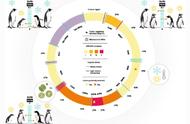 景观基因组学：自然选择推动企鹅有丝分裂基因组的进化