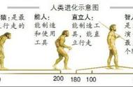 恐龙称霸地球前，地球的统治者有谁？科学家给出答案