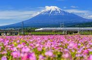 在日本游览最佳途径：子弹头列车、公共汽车还是飞机？