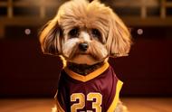 穿上球衣，登上赛场！狗狗们的篮球大联盟！