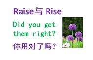 raise和rise的区别以及正确用法