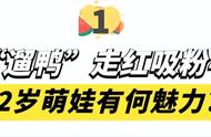 多肉小盆友：2岁萌娃靠“花式遛鸭”走红，吸粉400万有何魅力？