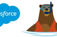 收藏贴！Salesforce开发课程必看的10个Apex最佳实践