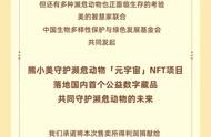 熊小美元宇宙公益 NFT 发售一共同保护濒危动物的未来