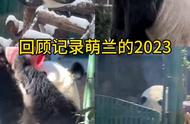 回顾2023年我记录萌兰的一年~谢谢么么儿一年的陪伴❤️❤️