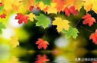 秋凉、秋叶、秋风起，秋词、秋雨、秋韵浓，穿越千年情