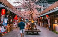 Ichiba Station 是曼谷的日本夜市，有樱花、烧烤自助餐和现场音乐