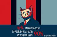 我猫丢了！我该怎么办，猫丢了怎么办，怎么找猫？