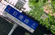 荡荡马路｜骑单车去巨鹿路，看看“爱神花园”