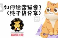 如何运营猫舍？（纯干货分享）