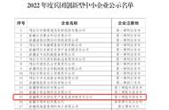 喜报！数字兵团公司通过“兵团创新型中小企业”审核评价