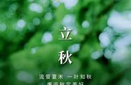 【秋天的第一杯奶茶】到底是个什么梗？