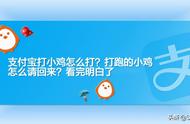 支付宝打小鸡怎么打？打跑的小鸡怎么请回来？看完明白了