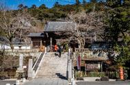 逛逛日本｜伊豆半岛一日游