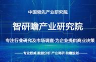 拼图玩具行业深度分析及投资价值研究咨询报告