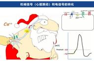 这项花费近10万的手术，3000万患者期待国产化