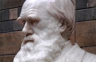 达尔文与进化论——好书《物种起源》