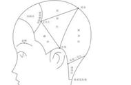 五式花烫分类排列法