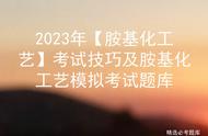 2023年【胺基化工艺】考试技巧及胺基化工艺模拟考试题库