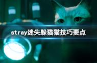 《迷失》stray躲猫猫怎么跳杯？躲猫猫技巧要点