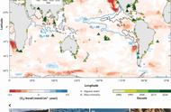 氧气危机：人类活动如何改变海洋生物生存的未来？