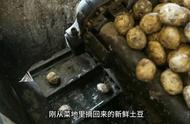 工厂是如何批量制作薯片#零食