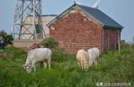 坐标平顶山：昨天有人问我，怎么开车上擂鼓台，来现在说说怎么上