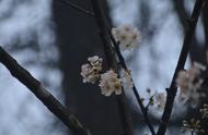 和风细雨•落日的夏•天一定会亮•少年不识愁•有雪的冬天