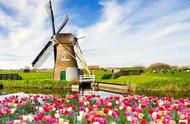 被誉为风车王国，荷兰的浪漫不止风车，还有一望无际的郁金香花海