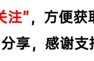 21座桥：谁都不服就服黑豹子，一言不合就开打！全程热血狂飙