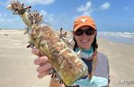 美国墨西哥湾沿岸出现“女巫瓶”，专家们不知道它们是从哪里来的