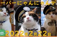 「日本文化」由猫之日（猫日）想起猫岛、猫站长