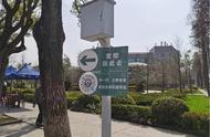 2024武汉大学正式开放社会公众赏樱通道 数字化导览打卡最美樱花